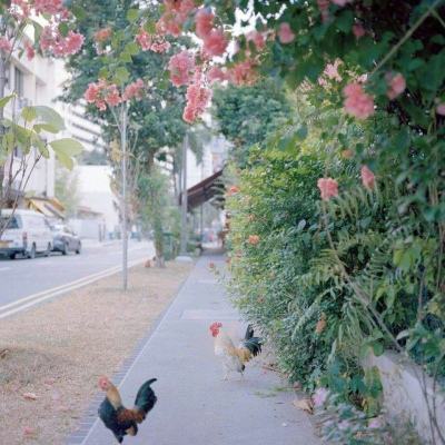 熊猫娱乐app截图